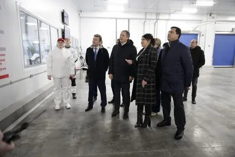 Телеграмм шебекино белгородская область