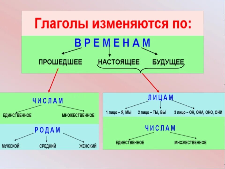 Что не является вопросом времени. Изменение глаголов прошедшего времени по родам и числам. Как изменяются глаголы по временам. Глаголы изменяются по. Глагол я изменяются по.