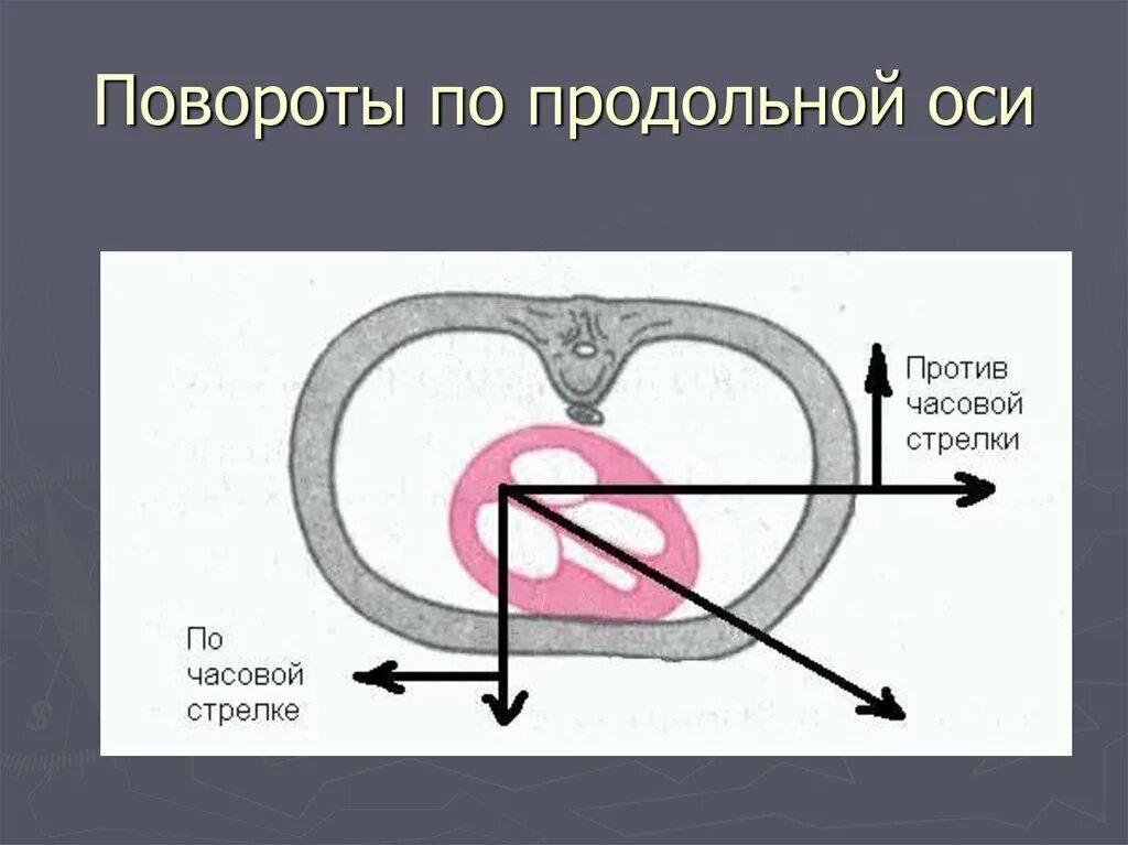 По часовой стрелке и против часовой стрелки. Поворот сердца против часовой стрелки. Прости часовой стрелки. Поворот против часовой оси.