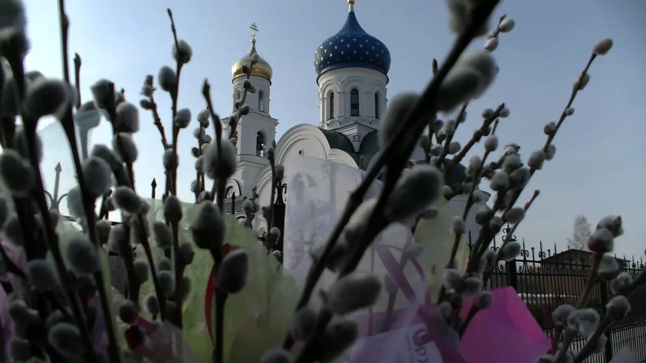 Какого числа пасха вербное воскресенье в 2025. Крупин вербное воскресенье. с вербным воскресеньем. вербное воскресенье йошкар-ола. праздник вербное воскресение провославный.