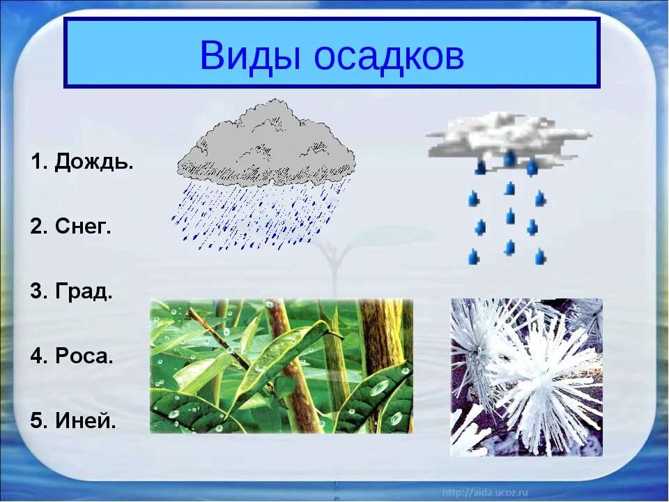 Виды осадков. Названия видов осадков. Осадки доклад. Виды осадков 2 класс.