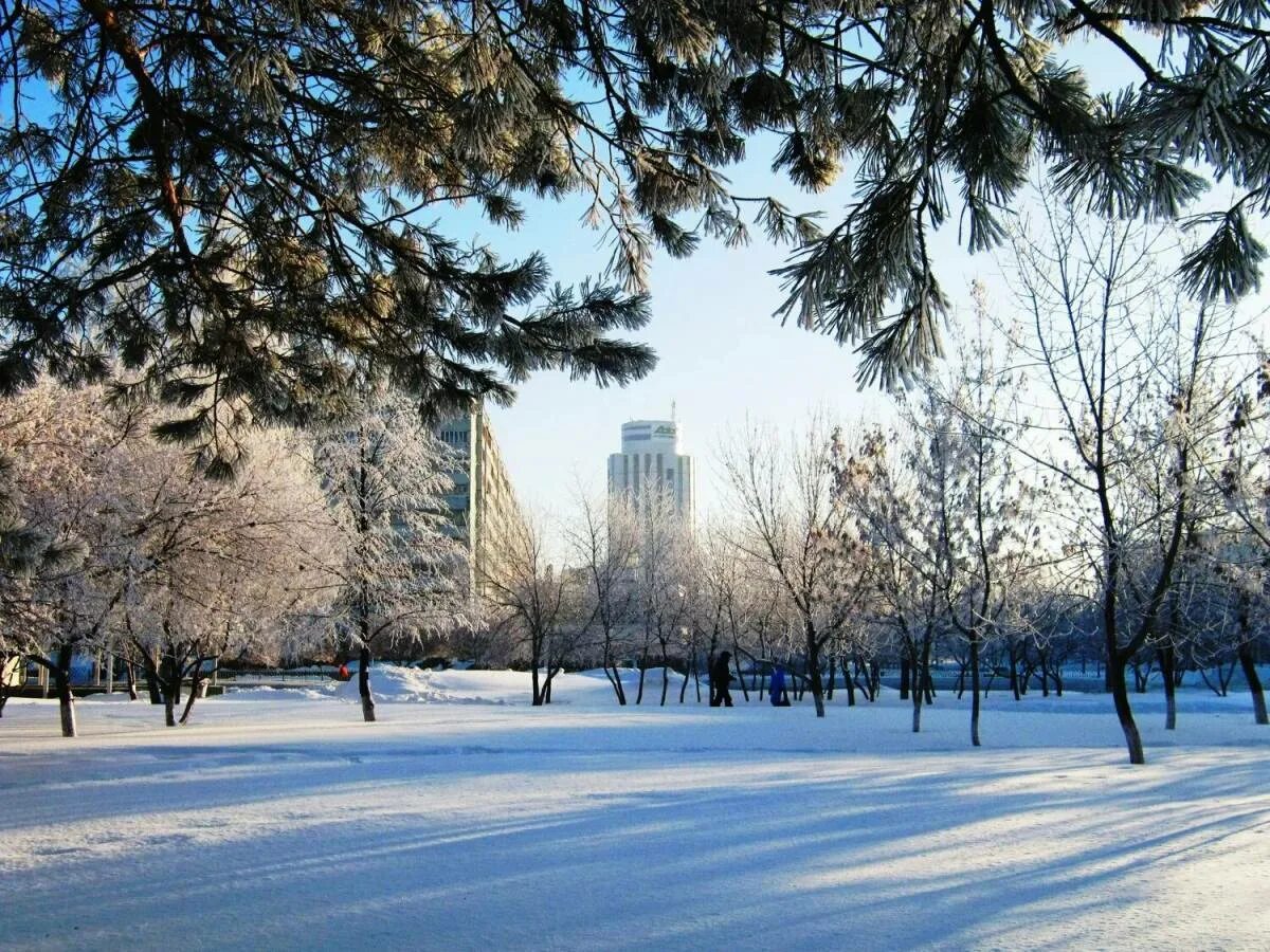 Зима в городе. Город зимой. Зимний день в городе. Зимний пейзаж в городе.