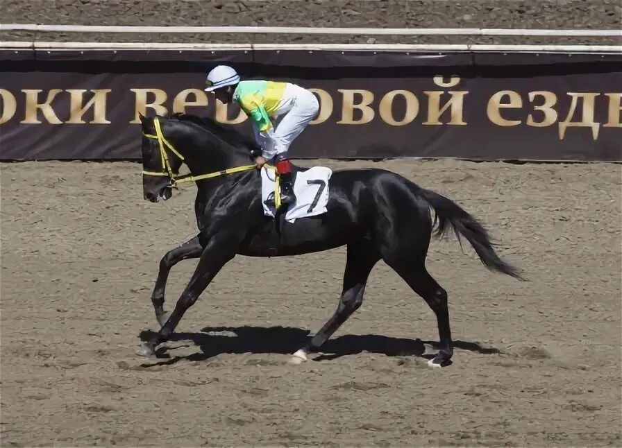 Тройная корона автоспорта