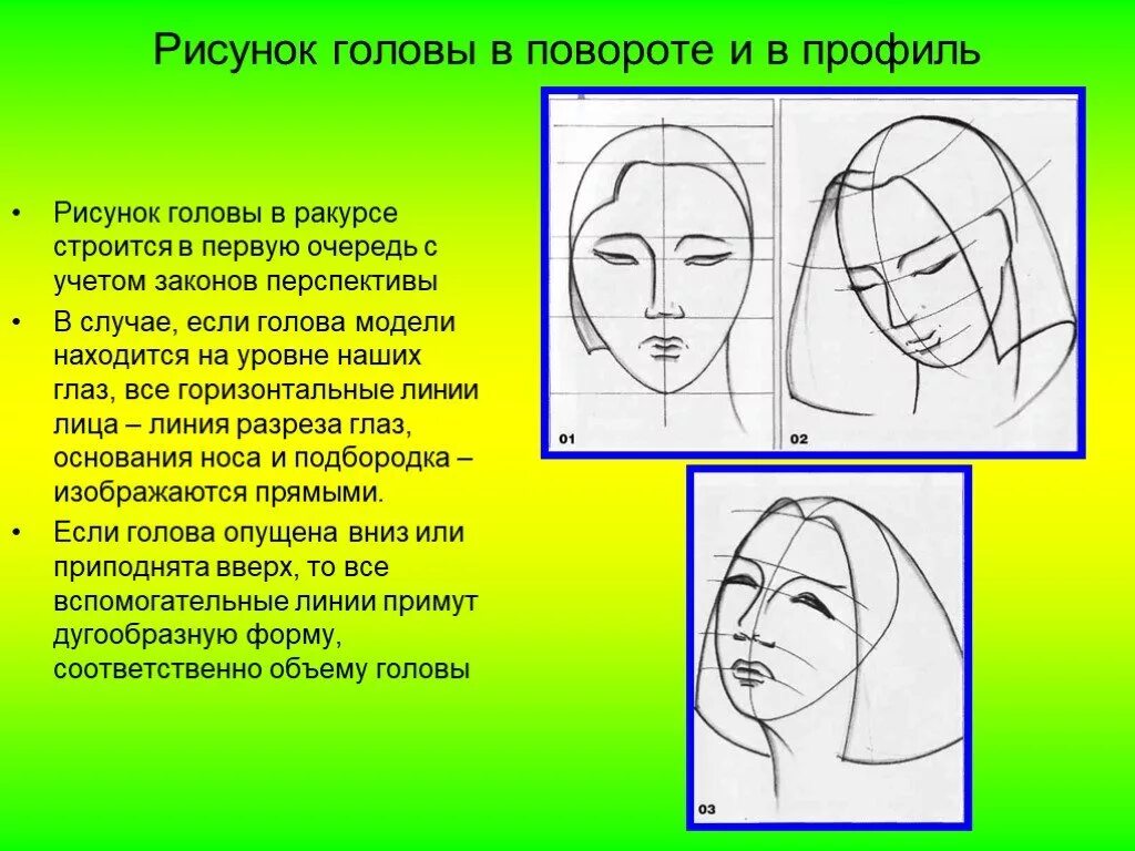 Пропорции лица для рисования. Рисование головы человека в пространстве. Пропорции головы человека рисунок. Изображение головы человека в пространстве рисунок.