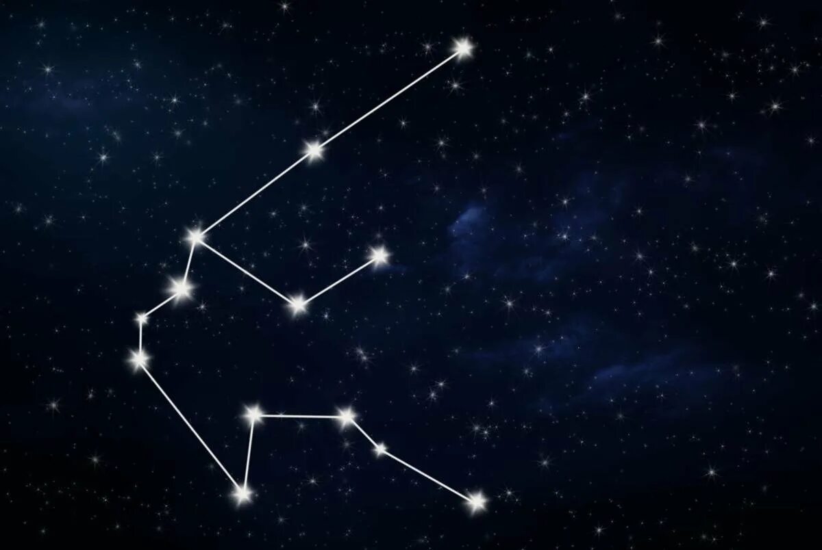 Созвездие весы. Созвездия на потолке. Capricorn созвездие. Созвездие огни большого города. Теплоход огни большого города созвездие.