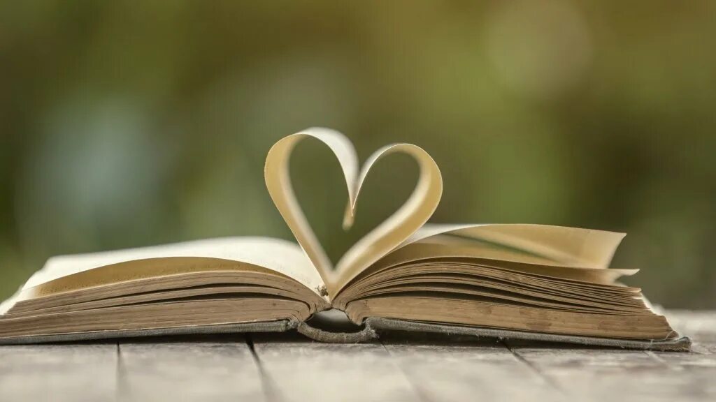 C 11 books