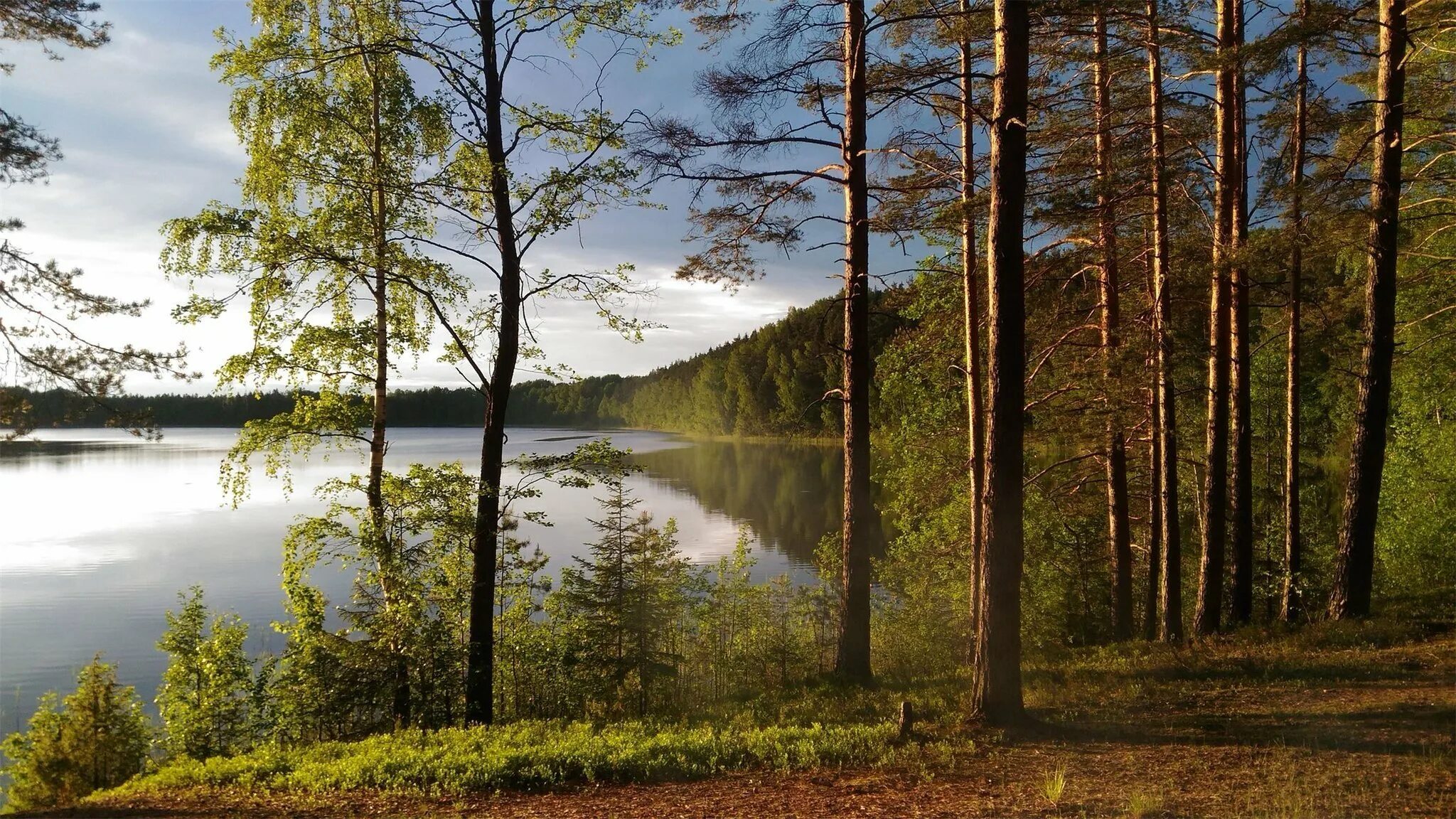 Река великая псковская область город остров. Ордосно озеро псковская область. Река шелонь дедовичи. Полистовский заповедник псковская обл. Устье реки великой псков.