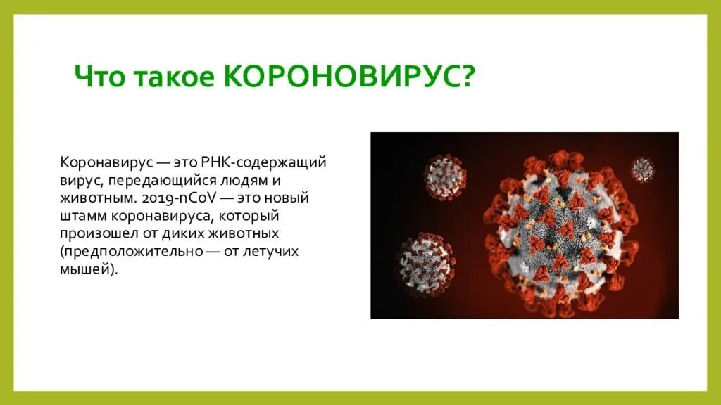 Признаки ковид новый штамм симптомы. Коронавирус презентация. Появление новых вирусов. Призентацияк оронавирус. Доклад о вирусе коронавирус.