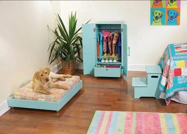 Петс хаус. Мебель для домашних животных. Комната для животных. Комната для собак. Комната для собачки.