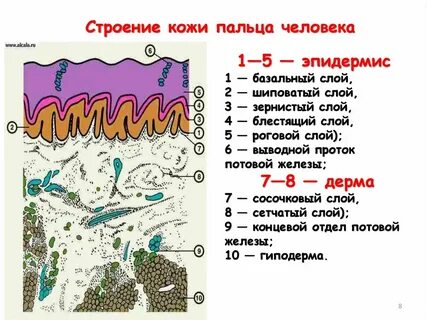 Слой был 2 3