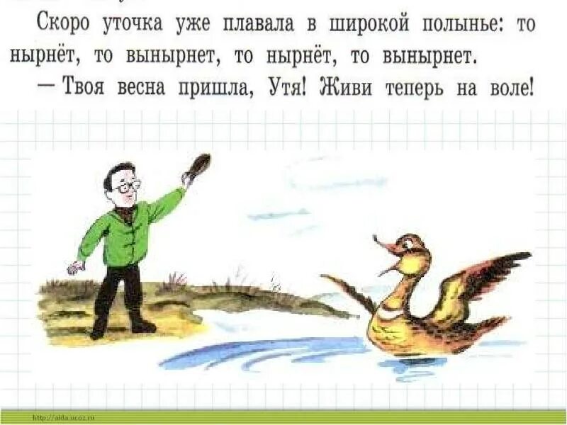 Загадка про уточку для детей. Однажды подложили утке куриное яйцо вылупились птенцы. Загадка про уточку для детей. Зажужжал по слогам. Утенок картинка для презентации.