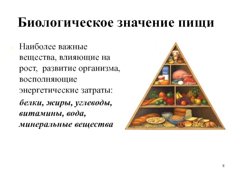 Значение питания у животных. Биологическое значение пищи. вещества влияющие на энергетические затраты организма. питательные вещества белки жиры углеводы. значение пищи и ее состав.