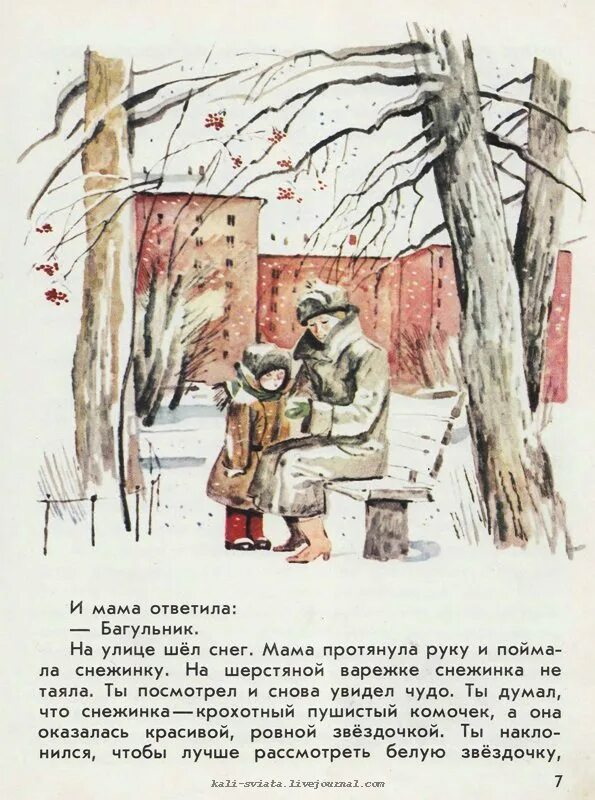 Книга родная Страна. Яковлев.