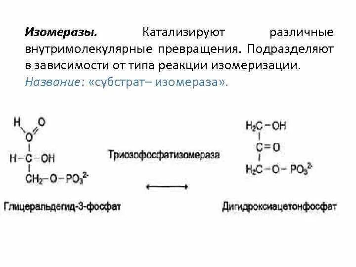 Химическая реакция катализируемая ферментом. Изомеразы катализируют реакции. Изомеразы Тип катализируемой реакции. Изомеразы ферменты. Изомеразы биохимия.