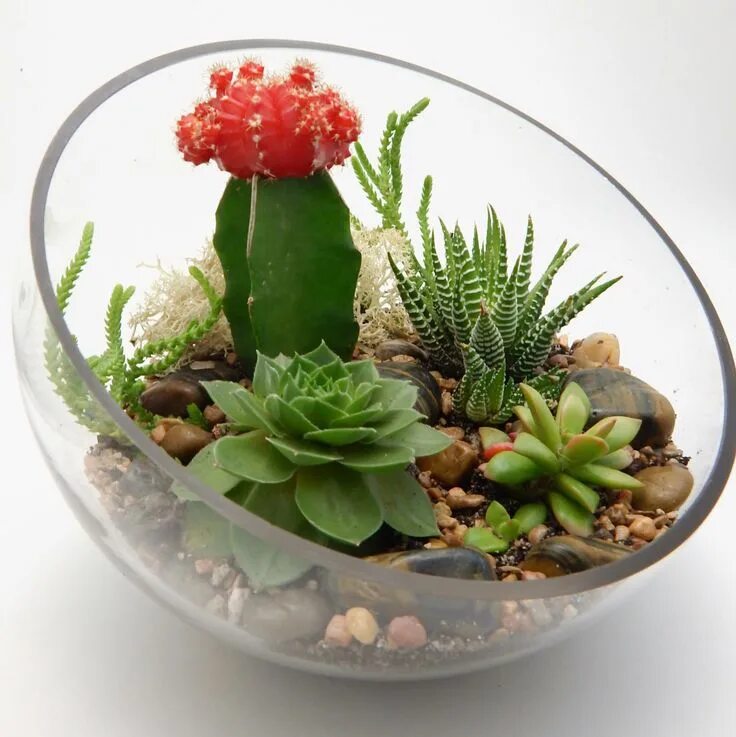 Arrangement i make an arrangement