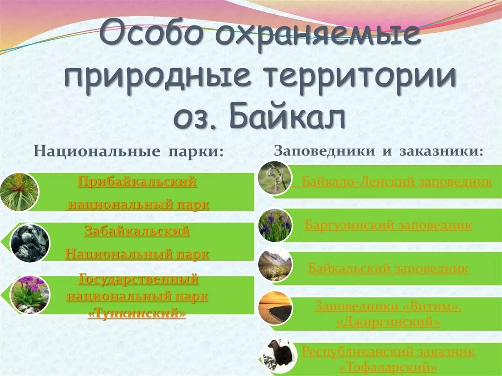 Особо охраняемые территории россии сообщение 8 класс. Особо охраняемые природные территории презентация. Особо охраняемая природная территория примеры. Охраняемые природные территории таблица. Охраняемые территории это в биологии.