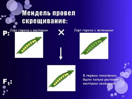Опыты менделя