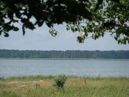 Погода в перешеечном егорьевского р на