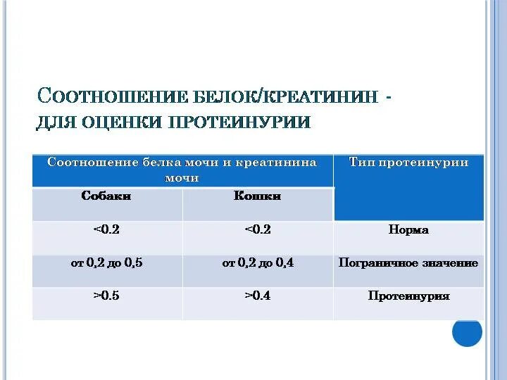 Кортизол креатинин. Соотношение белок креатинин норма. Нормы соотношения белок/креатинин в моче. Соотношение белка и креатинина в моче. Соотношение белок креатинин в моче формула.