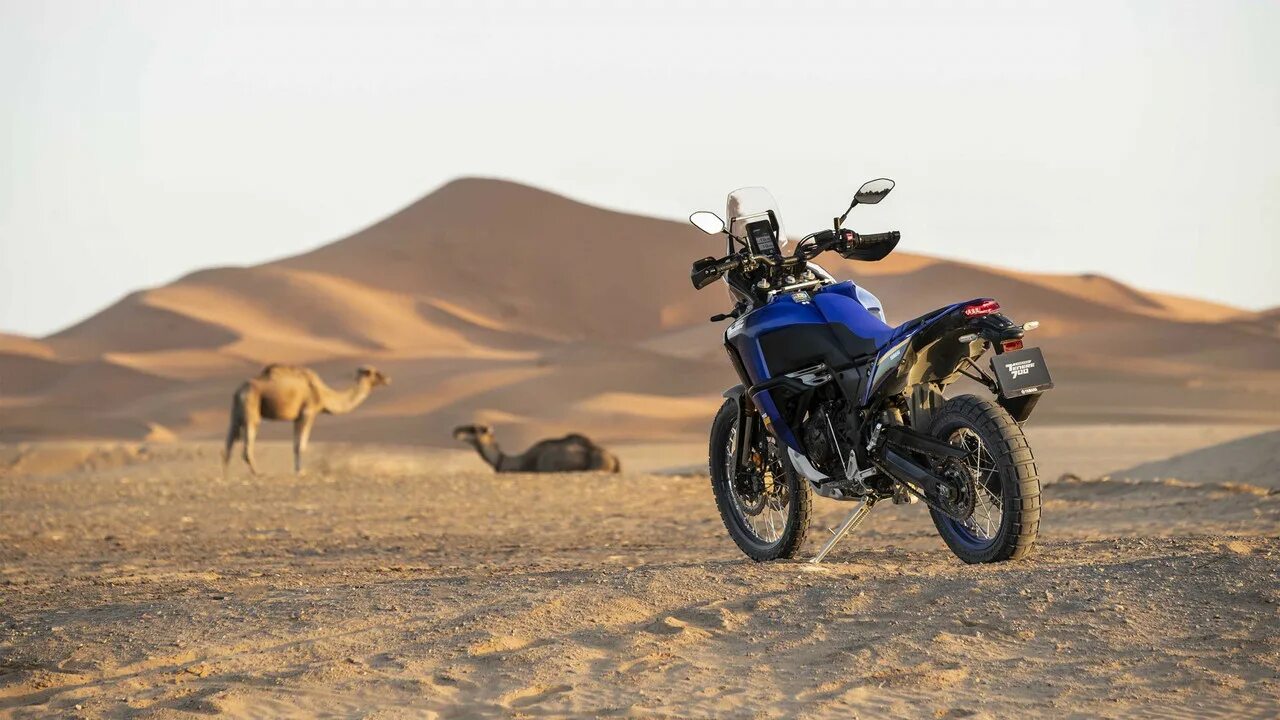 Yamaha ténéré 700 rally edition. Yamaha tenere 700 2022. Yamaha tenere 700 rally. Yamaha xtz 750 super tenere. Ямаха тенере 700 ралли.
