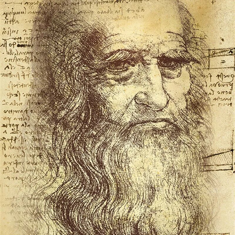 Леонардо пи. Леонардо давинчи портрет. леонардо да винчи (1452-1519). леонардо да винчи (1452 – 1509). туринский портрет леонардо да винчи.