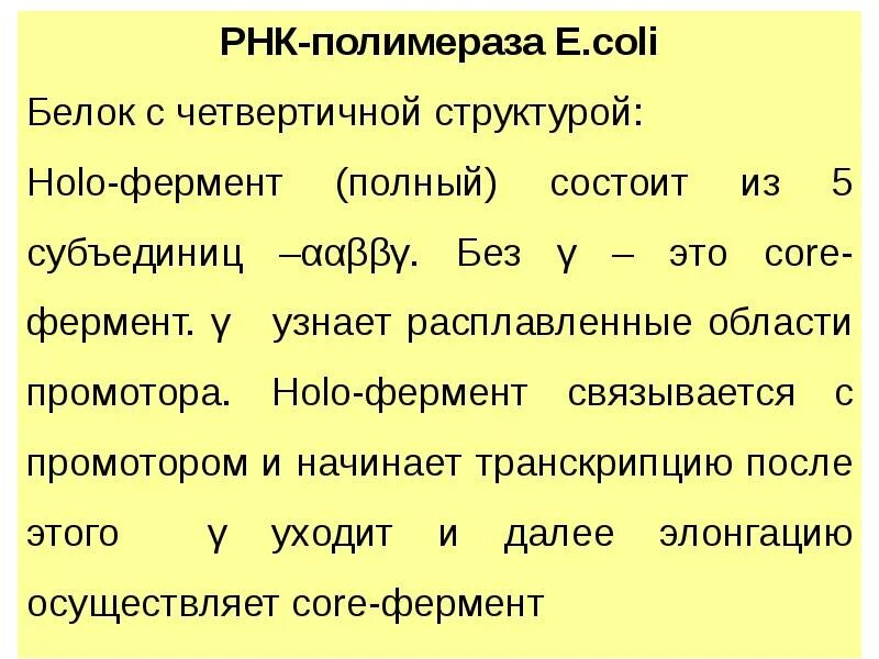 Транскрипция 7 класс. Транскрипция презентация. holo фермент структура. holo фермент полимеразы. holo фермент.