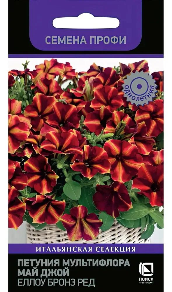 Петуния мультифлора джоконда бургунди еллоу. Петуния мультифлора май джой еллоу бронз ред. Петуния май джой еллоу бронз ред f1. Петуния мультифлора май джой еллоу бронз ред. Петуния мультифлора джоконда бургунди еллоу.