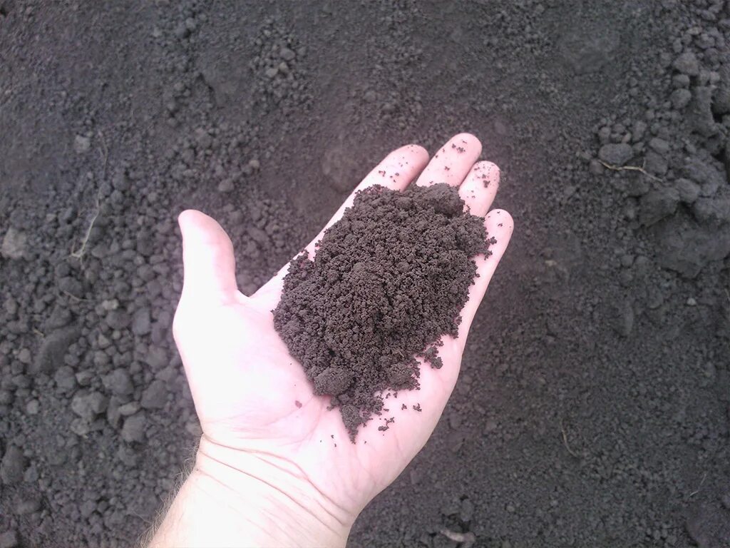 Торф гумус. Сухой чернозем. Чернозем. Чернозем 2023 воронеж. Чернозём.
