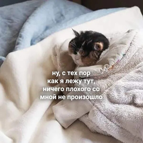 Под одеялом текст