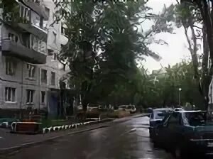 Тсж приморское. Тольятти приморский бульвар 46. приморский 46 тольятти. тсж приморье. приморский 46 фото.