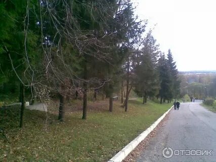 Санаторий подмосковье отзывы 2023