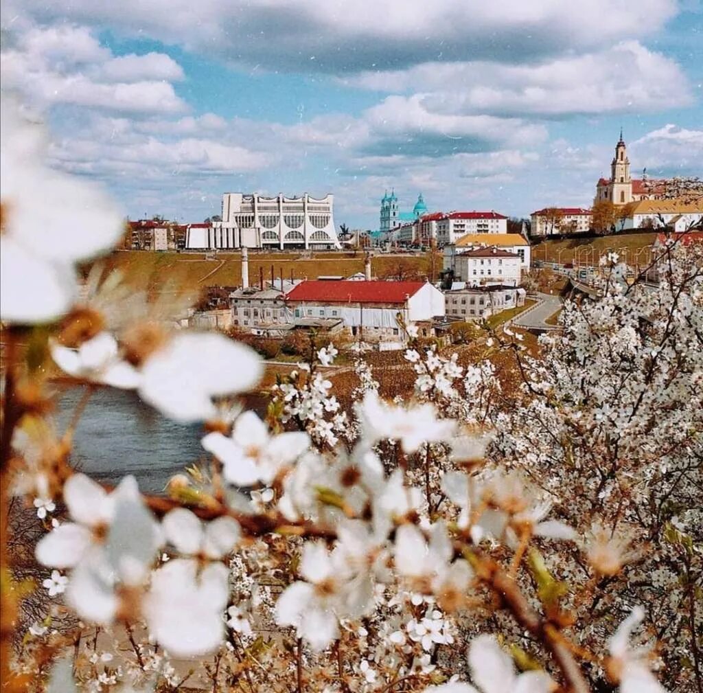 Весенняя гродно. Весенняя гродно. Гродно весной. Гродно весной. Гродно белоруссия.