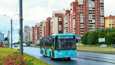 Маршрут 134 автобуса спб