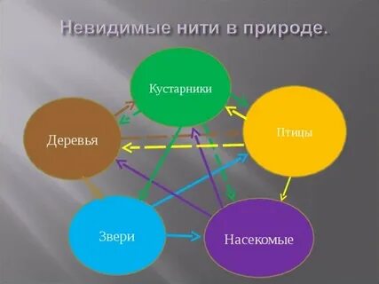 Невидимые связи окружающий мир