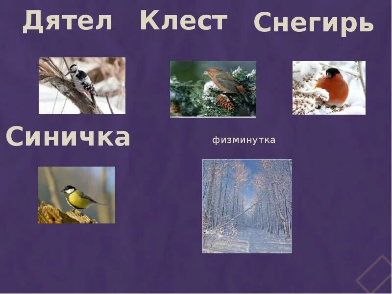 В гости к зиме окружающий мир 2. Проект в гости к зиме. проект в гости к зиме 2 класс окружающий мир. проект на тему в гости к зиме. окружающий мир 2 класс тема в гости к зиме.