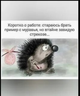 Коротко о нем