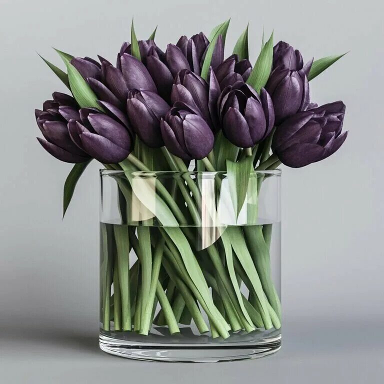 Фиолетовые тюльпаны купить. Тюльпан Пурпл букет. Джей Стронгуотер тюльпан. Тюльпаны фиолетовый микс 10 луковиц. Тюльпаны в круглой вазе.