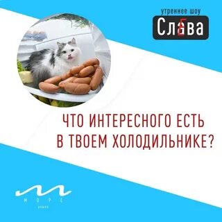 С днем северного сияния в холодильнике картинки