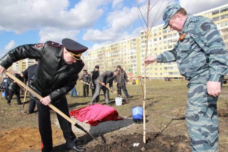 Посадили дерево победы. Саранск посади лес.