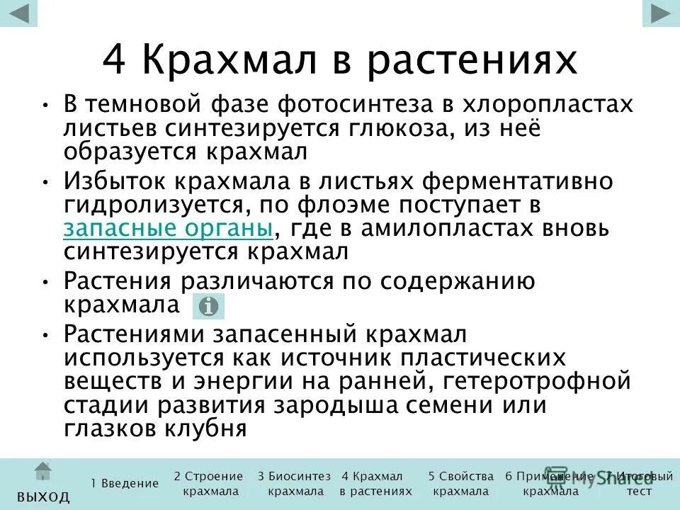 В каких клетках образуется крахмал