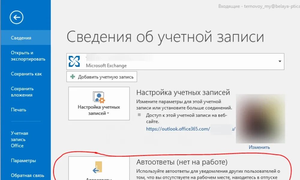 Автоматический ответ аутлук. Автоответ в Outlook. Автоматические ответы в оутлук. Автоматический ответ в аутлуке. Автоматический ответ в outlook на время отпуска