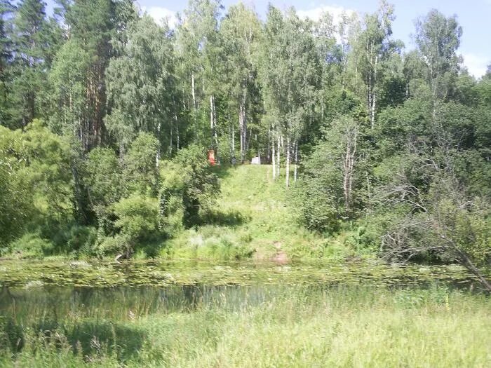 Березка смоленское. Деревня Березки Смоленская область. Смоленская береза. Замыцкое Смоленская область. Абрамцево Темкинский район пляжи фото.