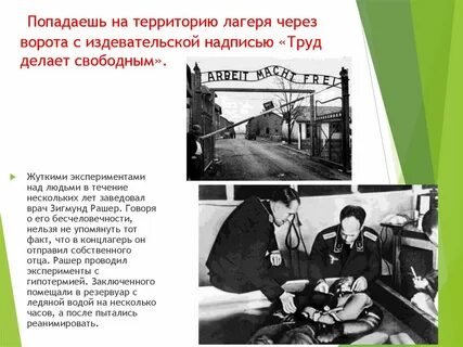 Что означает городской воздух делает свободным