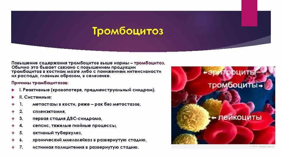 Лечение повышенных тромбоцитов в крови