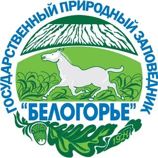 Фгбу белгород
