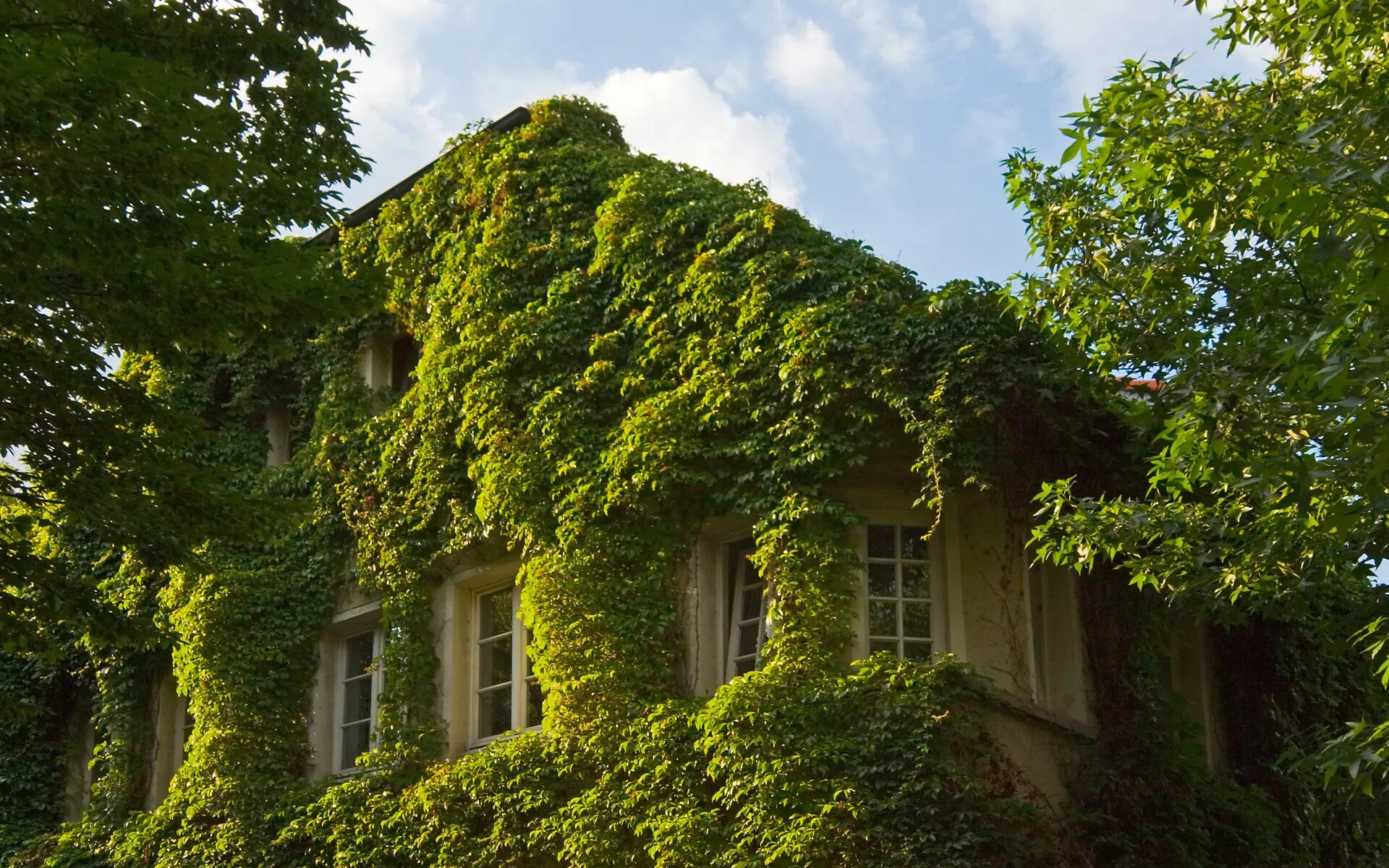 Старинный особняк заросший сад фэйри. Здание увитое плющом париж. Увитые плющом дома в англии. Заброшенный остров в нью йорке. Особняк айви хаус.