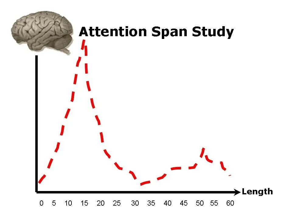 Attention span. Short attention span. Attention span 2022. Increasing attention span. Attention spin