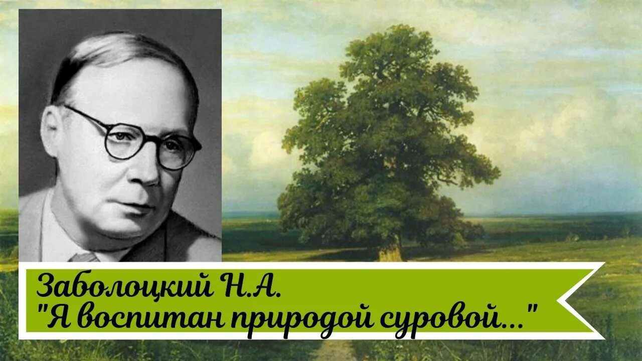 Заболоцкий человек и природа. Н. А. Заболоцкого «я воспитан природой суровой...».