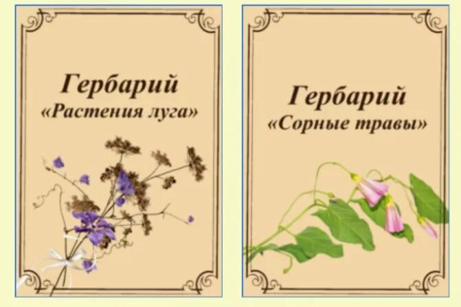 разворот книги титульный лист. мурашев, г. титульный лист по музыке. титульный лист книги. гербарий надпись.