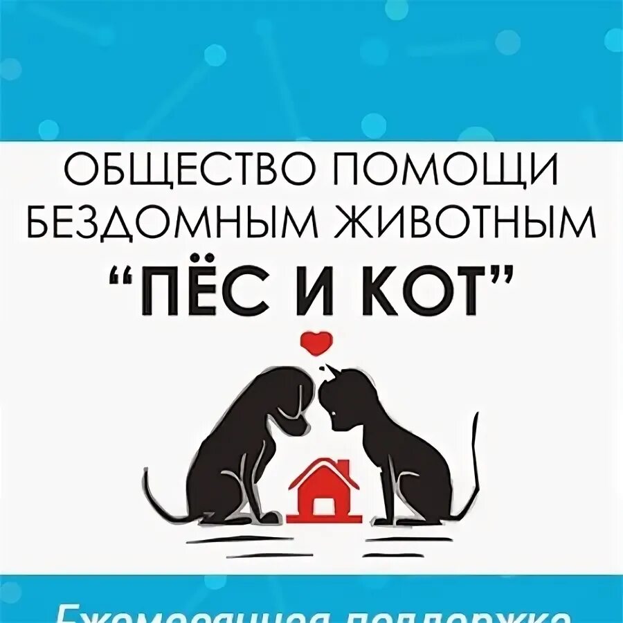 Волонтеры кормят бездомных людей. Бездомные люди в холода. Россошь помощь бездомным. Обеды для бездомных. Поддержка бездомных людей.
